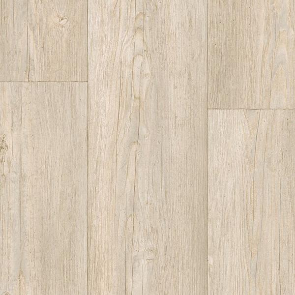 Winter Pine - Soft Beige