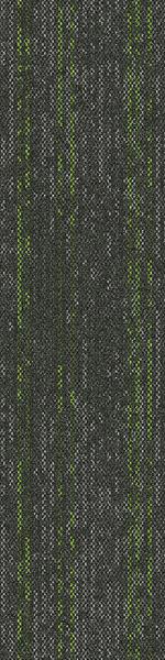 Estuary Emerald Ecosoft