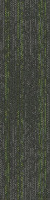 Estuary Emerald Ecosoft