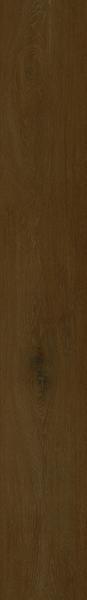 Maggiore 2.5mm