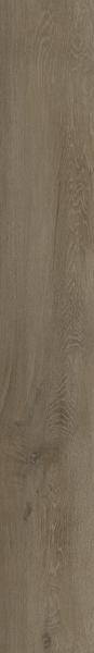 Constance 2.5mm