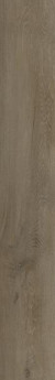 Constance 2.5mm
