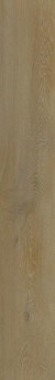 Albano 2.5mm
