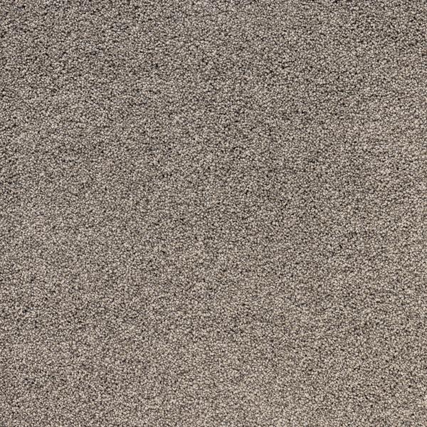 Raw Umber 556