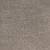 Raw Umber 556