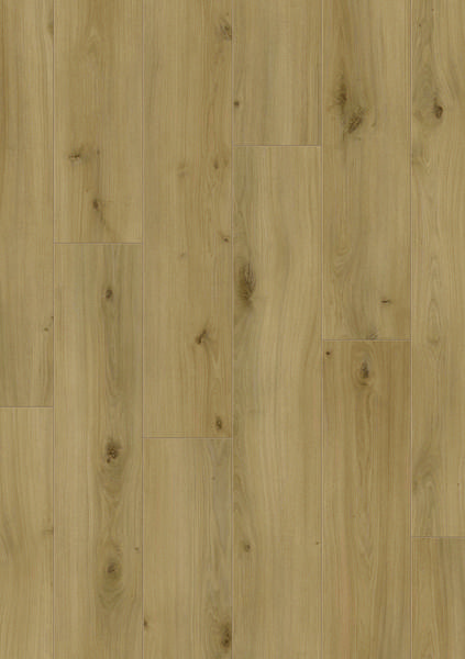Avenue - Melrose Oak