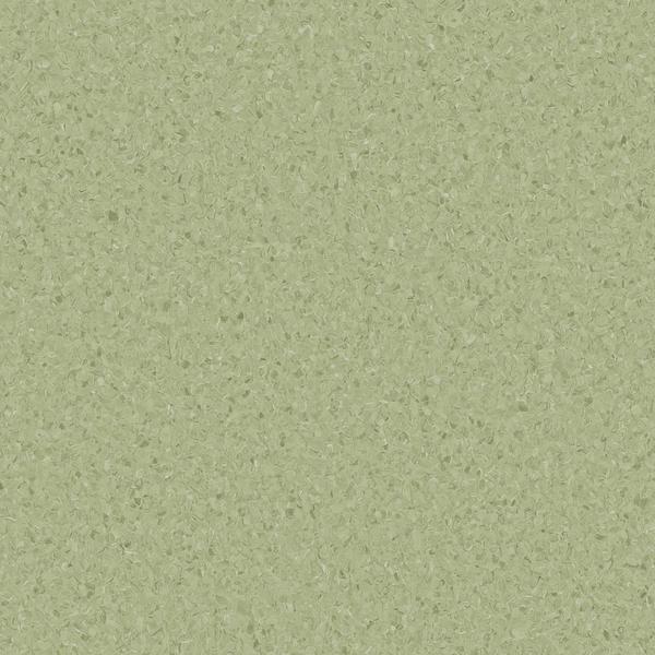 CASUARINA