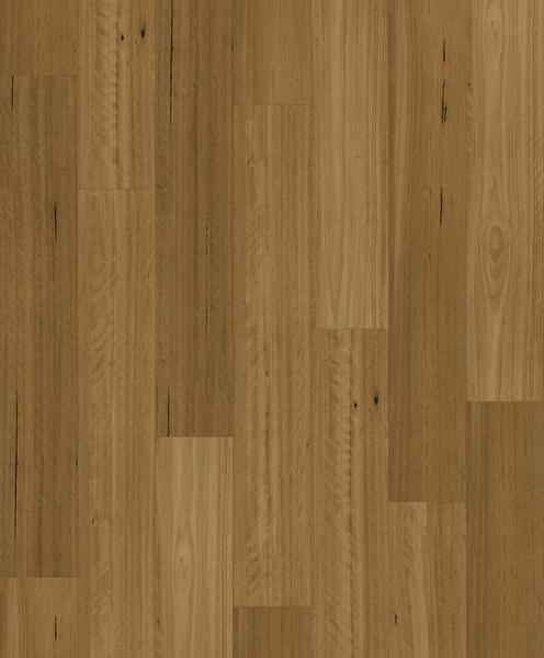 BLACKBUTT TRADITIONAL