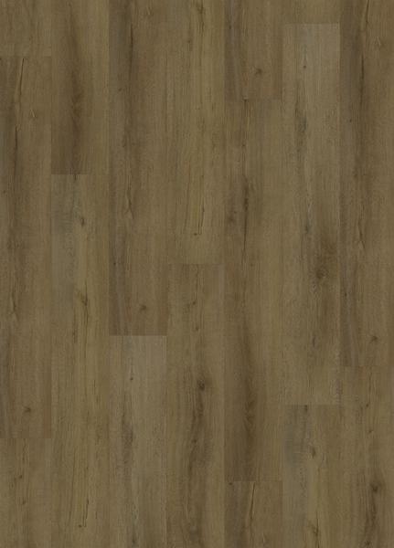 COFFEE OAK
