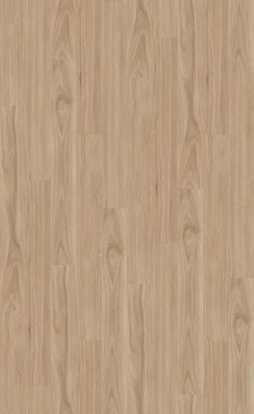 TWILIGHT TASMANIAN OAK