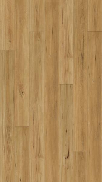 BLACKBUTT