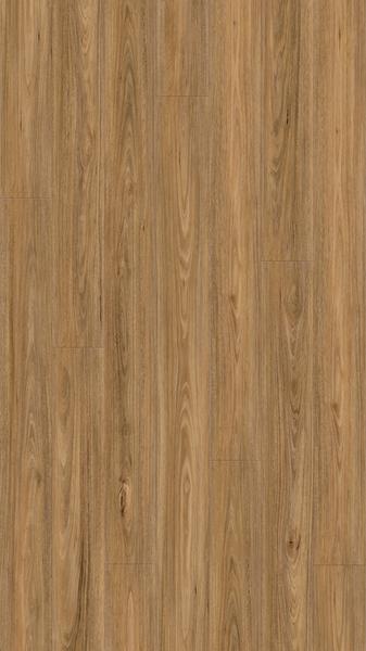 SPOTTED GUM