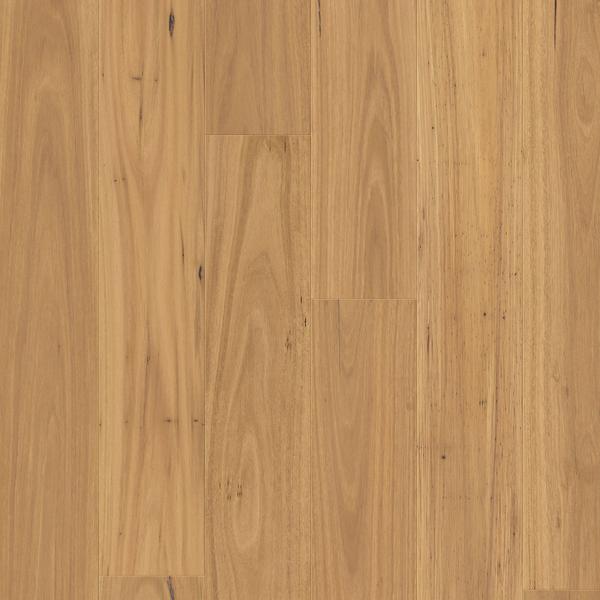 Clix XL Natural Blackbutt