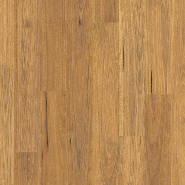 Clix XL Natural Spotted Gum
