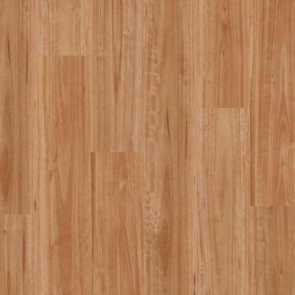 Titan Glue Blackbutt 2mm LVT