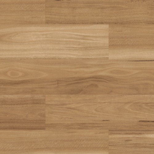 Korlok - Warm Spotted Gum RKP8118