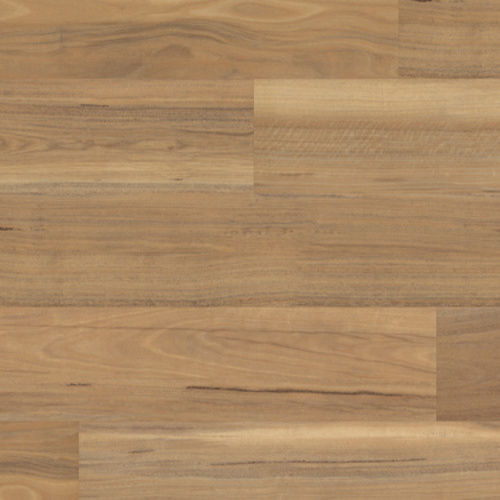 Korlok - Weathered Spotted Gum RKP8119