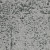 Canopy to Bark - Scope 910