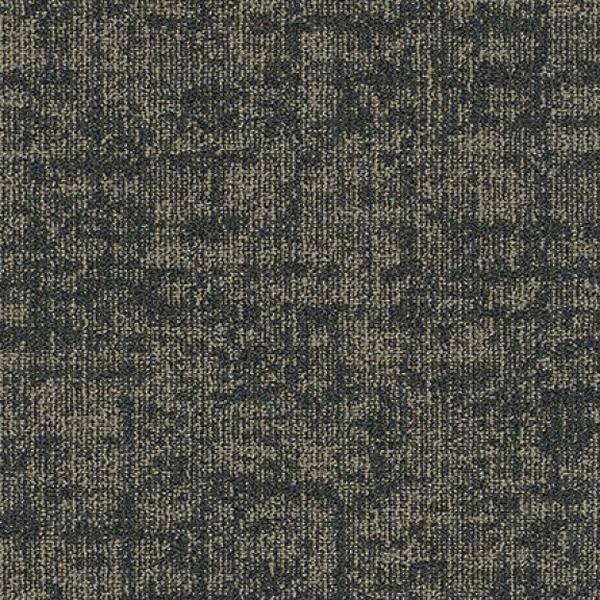 Scaffold Region 84218