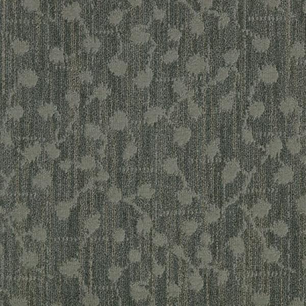 Squareberry II Sycamore 13292