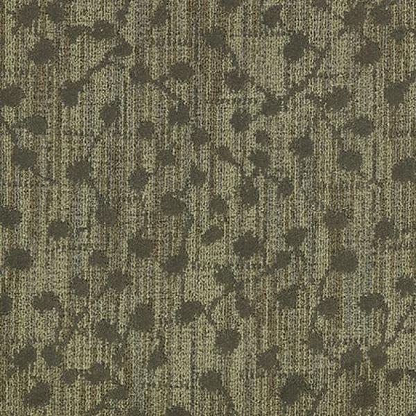Squareberry II Wilde 43240