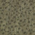 Squareberry II Wilde 43240