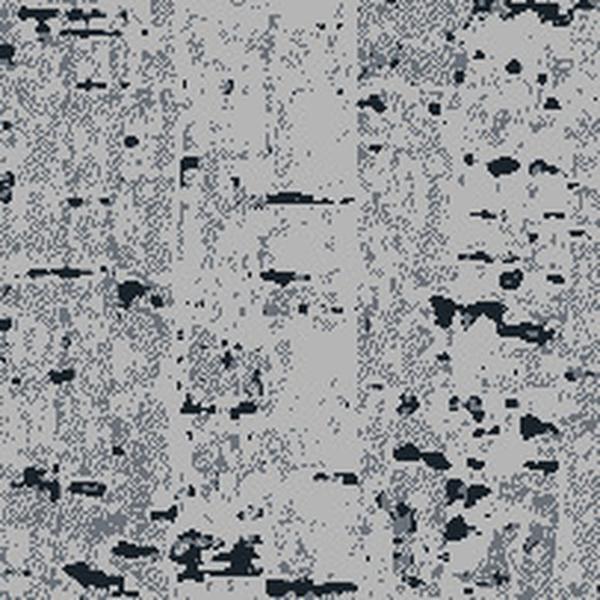 Canopy to Bark - Zoom HD 910