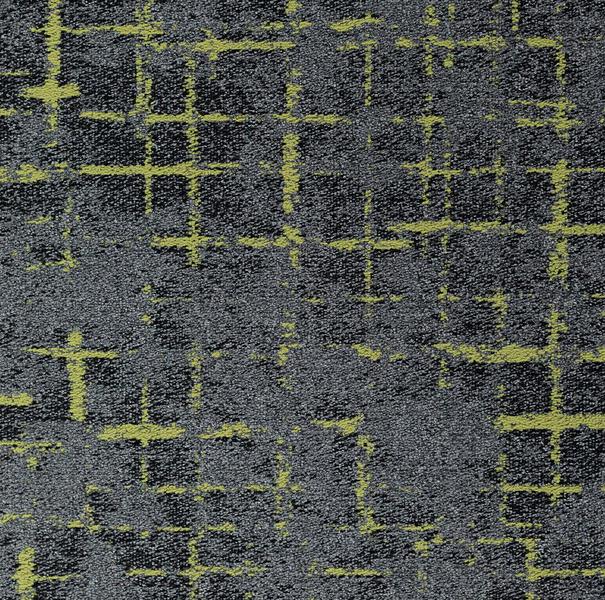 Grid Sunrise