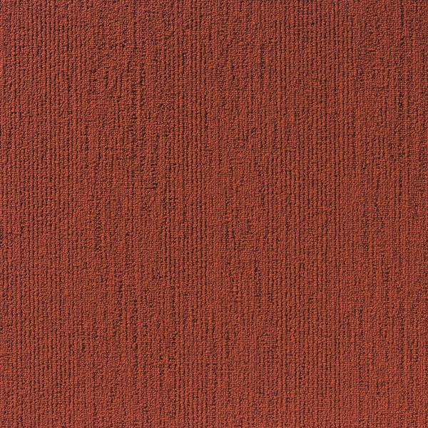Prime Burnt Orange