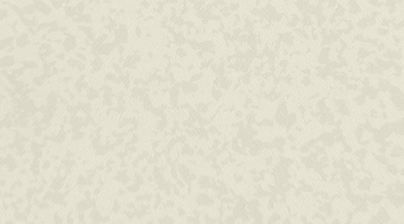 Premium Compact Osmoz Ivory New 4364