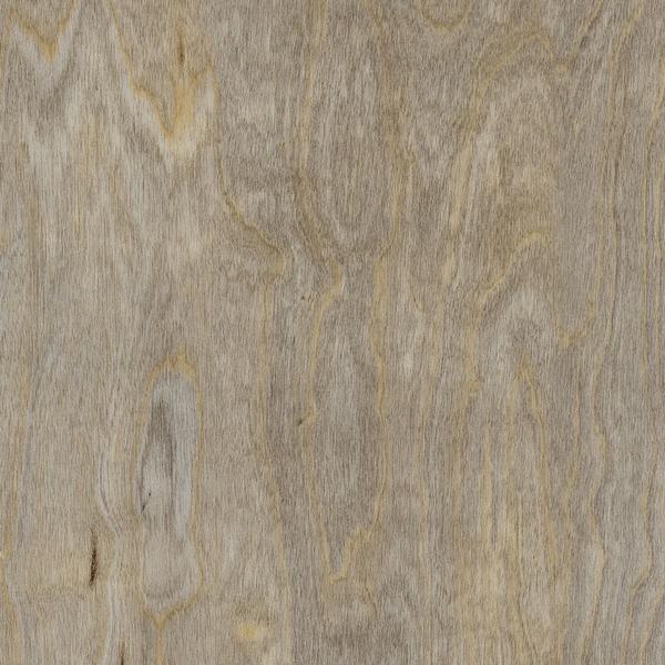 Amtico Spacia Bleached Elm SS5W2516