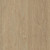 Amtico Spacia Limed Wood Natural SS5W2549
