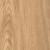 Amtico Spacia Pale Ash SS5W2518