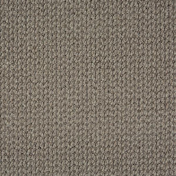 Conscious True Intent