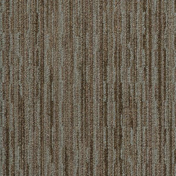 Montgomery Austen 44234