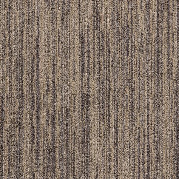 Montgomery Sonnet 13112