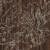 Rossetti 2 Batten 85119