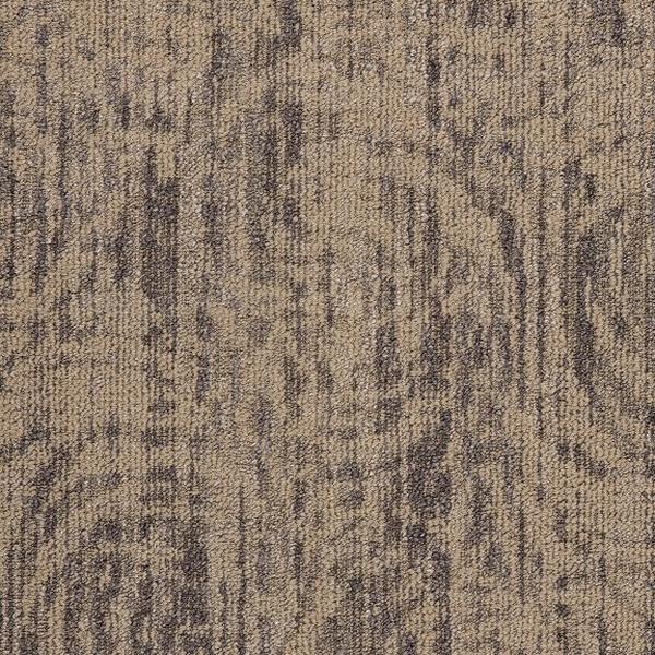 Vivaldi Sonnet 13112