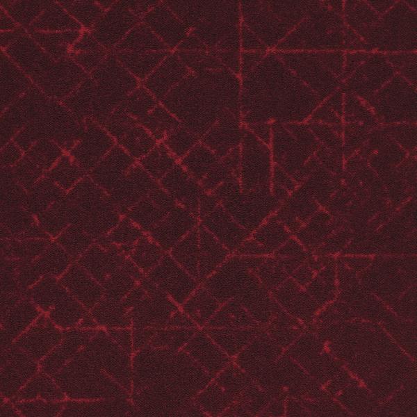 Graph Magma 570