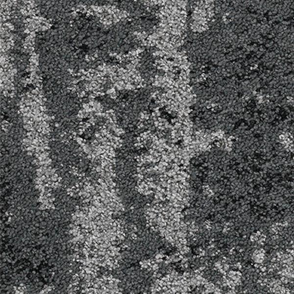 Canopy to Bark - Vision Planks 910