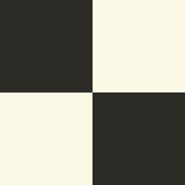 Digital Evolution Checker Board