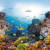 Digital Evolution Coral Reef