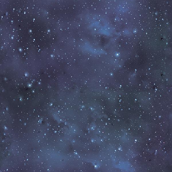 Digital Evolution Galaxy
