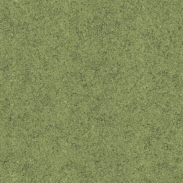 Digital Evolution Grass