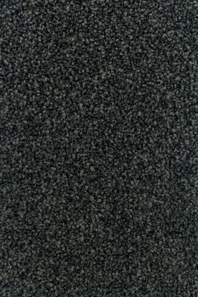 Domain Leather 79