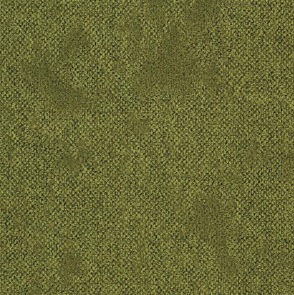 Take A Walk Moss Green 250