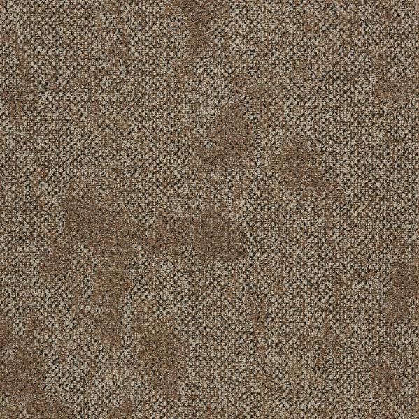 Take A Walk Anchor Brown 740