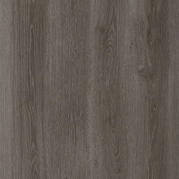 Express Driftwood Grey 0120