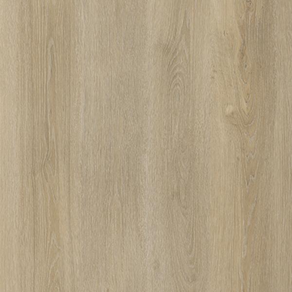 Express Light Oak 0064