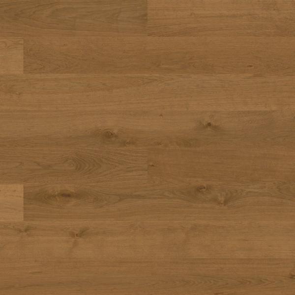 Bjelin L Terra Brown, Nature